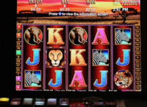 kiayun移动版下载手机版